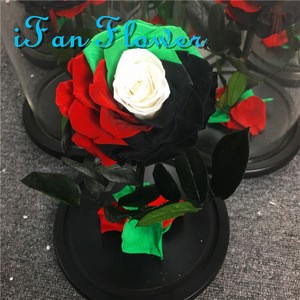 UAE flag wholesale preserved roses in glass dome for national holiday gift fresh cut rose flower