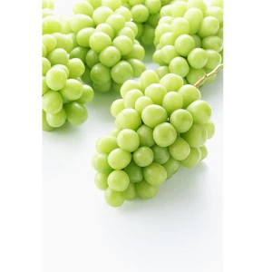 Very sweet green seedless fresh muscat grapes with attractive price for sale