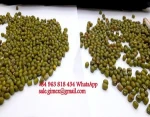 VIETNAM GREEN MUNG BEANS +84963818434 whatsapp