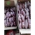 Import Vietnamese sweet potato / japanese purple sweet potato type (Whatsapp/zalo/wechat: +84 912 964 858) from China