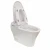 Import W9ANNWA New Design Automatic Smart Toilet Without Tank Intelligent WC toilet from China