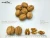 Import Walnuts in Shell Prices for Wholesale from China