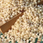 White Sorghum in bulk for sale to all now