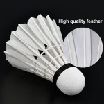 whizz Excellent stability ZE-3 white goose feather badminton shuttlecock