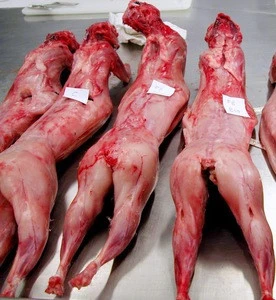 Whole Bone-in Rabbit Carcass Meat Price