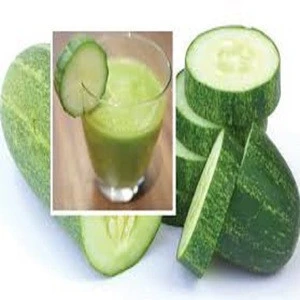 Wholesale Fresh Cucumber / Price Of Fresh Cucumber / Fresh Cucumber