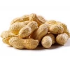Wholesale peanuts