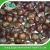 Import Wholesale price raw bulk fresh chestnuts for sale from China
