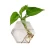 Import Wholesale Quality Proper New Type home decor glass vase cheap flowers Hexagons from China