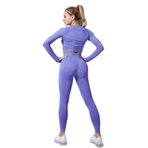 Women Seamless Yoga Set Fitness Sports Suits GYM Cloth Yoga Long Sleeve Shirts High Waist Running Leggings Workout Pants