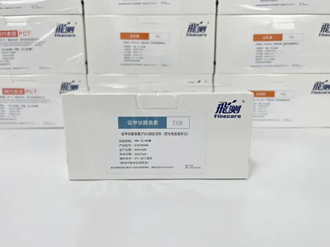 Buy Wondfo Finecare Kit Tsh Rapid Quantitative Test Thyroid Hormone ...