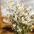Import Yunnan factory supply dried flower Little Daisy flowers straw chrysanthemums Natural preserved flower home decoration from China