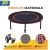 Import Zoshine 450 lbs Mini Trampoline for Adults Indoor Small Rebounder Exercise Trampoline for Workout Fitness from China