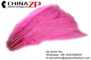 ZPDECOR Top Quality Customized Pink Ostrich Nandu Trimmed Feathers