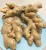 Import Simalungun Fresh Ginger from Indonesia