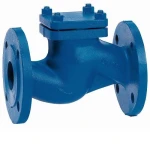 DIN Cast Iron Lift Check Valve-PN10-PN16-GG25
