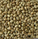 Arabica and Robusta Coffee