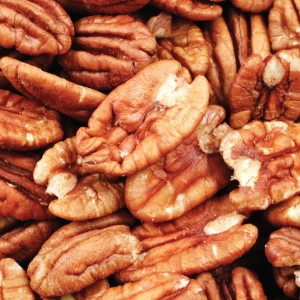 High Grade Pecan Nut In Shell And Kernel Form Excellent Texture 95% Clean Sorted Bulk Shipment