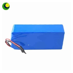 PVC 30Ah Electric Bike Battery Pack with 2A Charger
