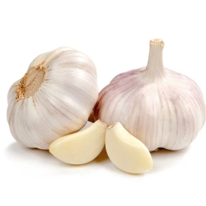 Fresh Garlic For Export High Quality Fresh Garlic With Pure Flavor And Natural Rich Taste For Bulk Buyers