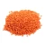 Import High Protein Lentils – Machine Cleaned & Sortexed | Wholesale Prices from Kenya