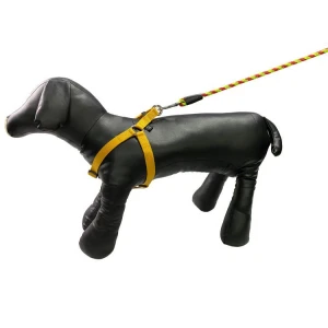 Dog round rope leash