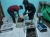 Import Green Mud Crab (Scylla paramamosain) origin Island Kalimantan from Indonesia