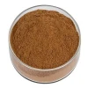 Lion's Mane Mushroom Extract Polysaccharide 30%
