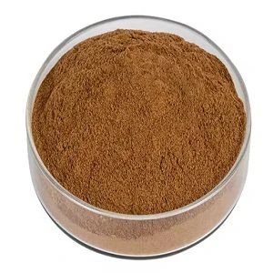 Lion's Mane Mushroom Extract Polysaccharide 30%