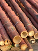 solid bamboo