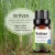 Import Vetiver  100% Pure Natural Aromatherapy Essential Oil  Body Whiten Christmas Gift from China