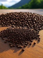 Kenyan Coffee beans