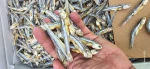Dry fish anchovies