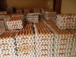 Fresh Chicken Table Eggs For Sale.