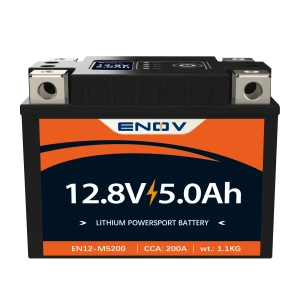 motor starter battery/power sports battery