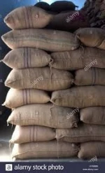 Ndop Rice