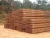 Timber wood Cameroon Azobe, euchaliptus, Sipo, Mahogani, Bubinga, zingana, Sapelle, Okan,