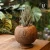 Import Eco-friendly Biodegradable Handicraft Coconut Plant Pot from Vietnam