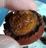 OX Gallstone, Niuhuang, Calculus bovis