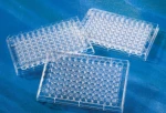 PCR Plate