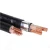 Import 0.6/1kv cu/xlpe/pvc power cable from China