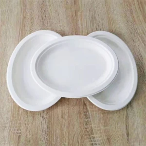 Biodegradable disposable oval dinner plate fruit cake tray