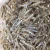 Import Dry Anchovy/ kapenta fish from South Africa