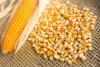 Best Quality Natural Yellow Corn