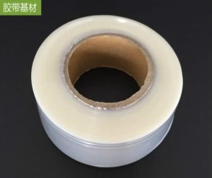 Fully Bio-Based Degradable Tape Substrate