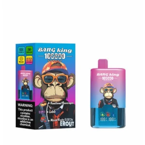 Bang King 100000 Puffs 3-in-1 for Europe Wholesale - High Capacity Multi-Flavor Bulk Supply
