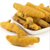 Export Quality Dried Turmeric Bulk Supply Strong Flavor Fine Texture Carefully Selected Natural Dried Turmeric