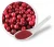 Import Berries QFD Powder from Canada