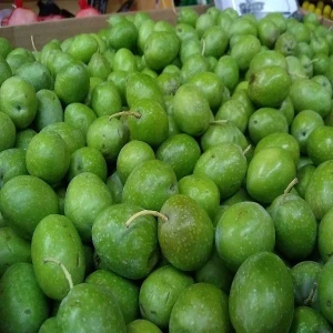 Fresh Green Olives