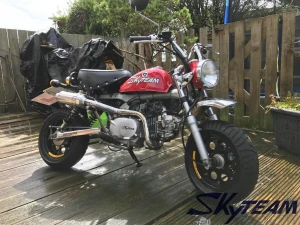 SKYTEAM Skymini E5 Monkey Bike dax bike Dirt Bike 50cc 125cc (EEC EURO5 APPROVED)